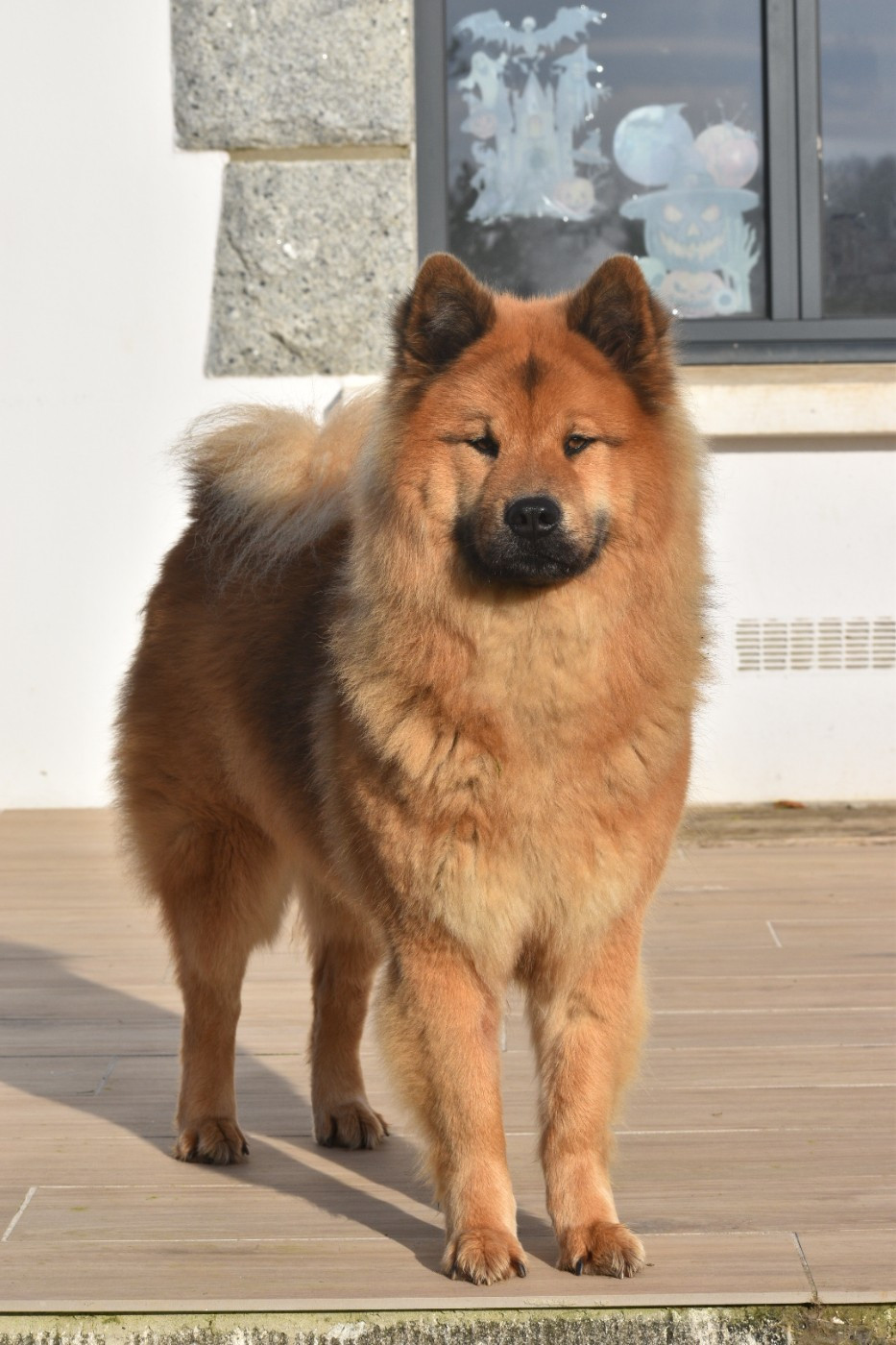 Utah sam'izaac Du Royaume D'ebène