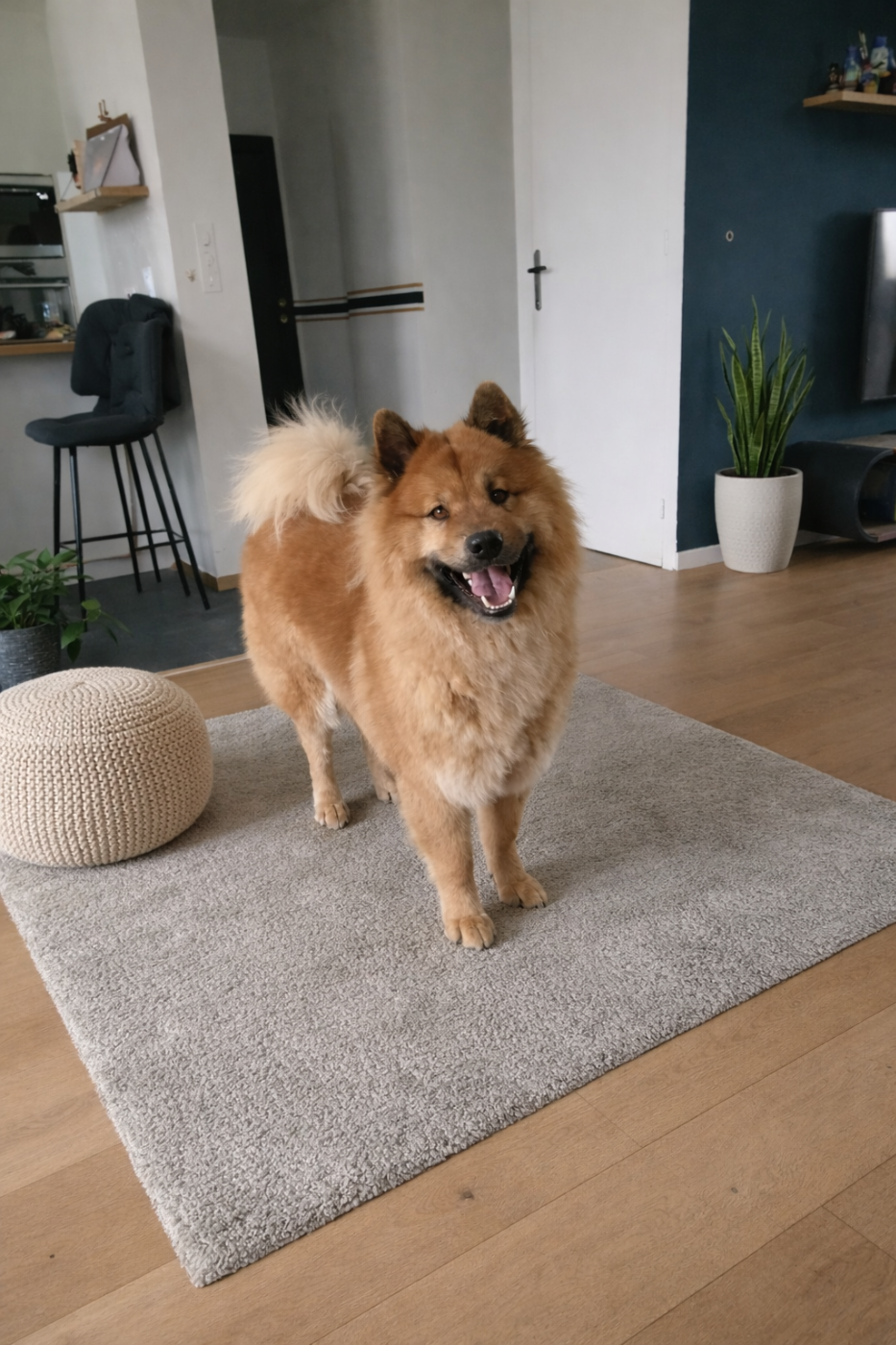 Des bébés sont attendu pour mi-avril 2026 !