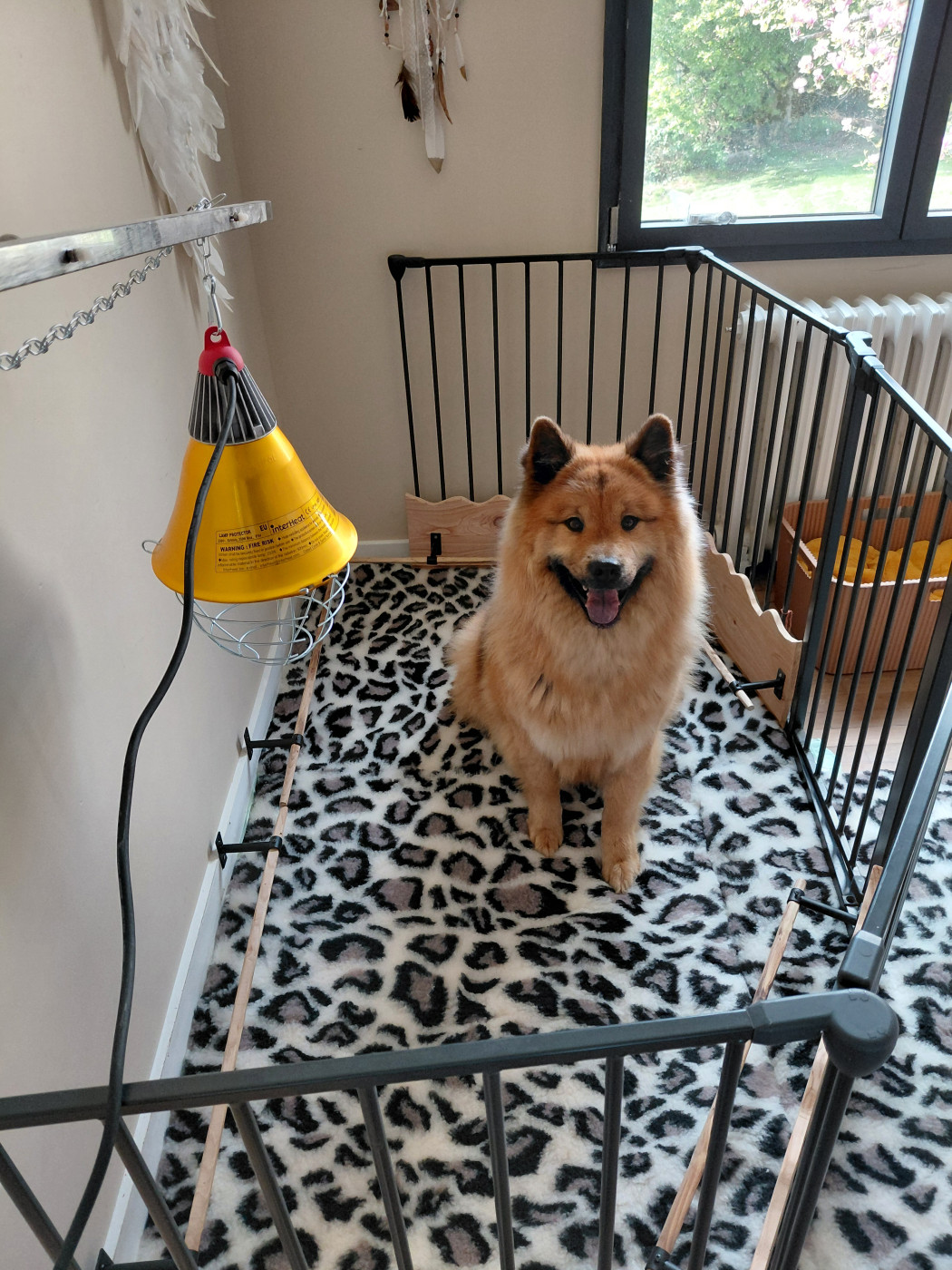 Les bébés arrivent bientôt !